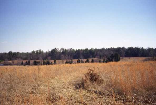 Picture of the scene of Rosser's charge.