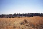 Picture of the scene of Rosser's charge.